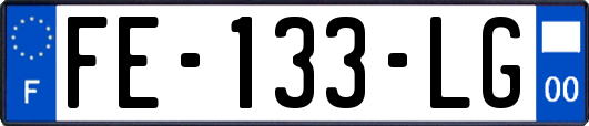 FE-133-LG