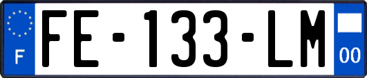 FE-133-LM