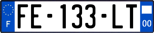 FE-133-LT
