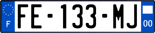 FE-133-MJ