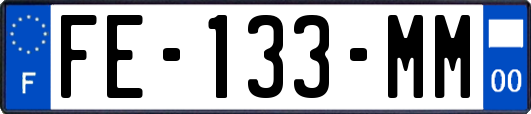FE-133-MM