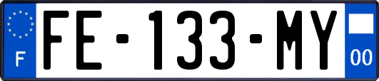 FE-133-MY