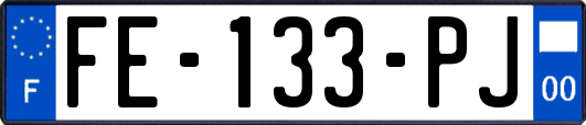 FE-133-PJ