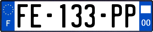 FE-133-PP