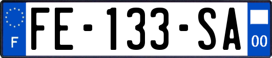 FE-133-SA
