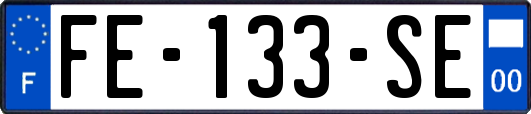 FE-133-SE