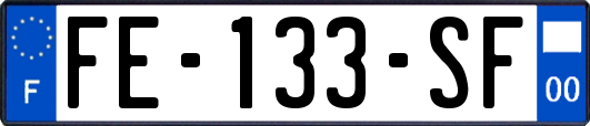 FE-133-SF