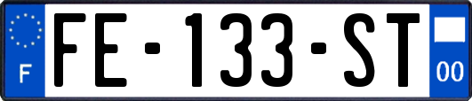 FE-133-ST