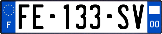 FE-133-SV