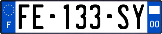 FE-133-SY