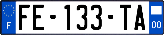 FE-133-TA