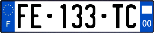 FE-133-TC