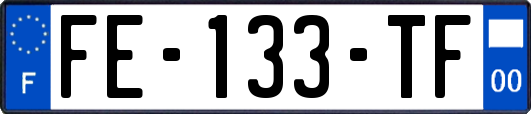 FE-133-TF
