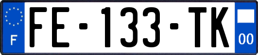 FE-133-TK