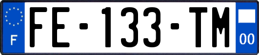 FE-133-TM