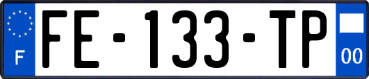 FE-133-TP