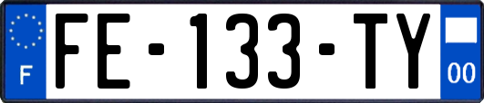 FE-133-TY