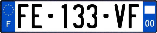 FE-133-VF