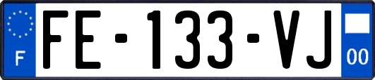 FE-133-VJ