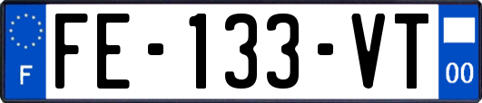 FE-133-VT