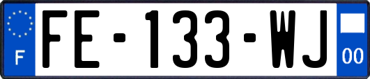 FE-133-WJ