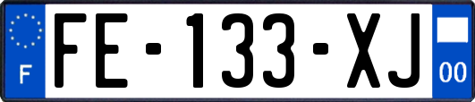 FE-133-XJ