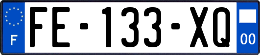 FE-133-XQ