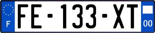 FE-133-XT