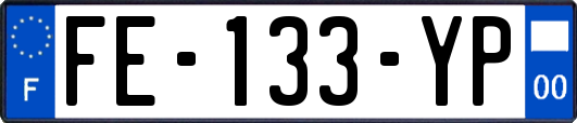 FE-133-YP