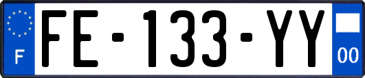FE-133-YY