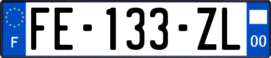 FE-133-ZL