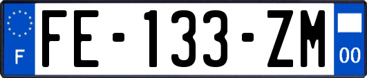 FE-133-ZM