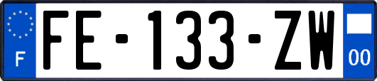 FE-133-ZW