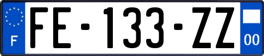 FE-133-ZZ