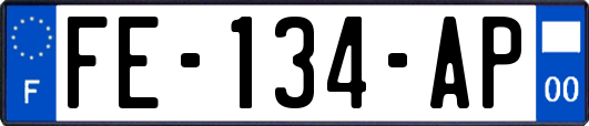 FE-134-AP