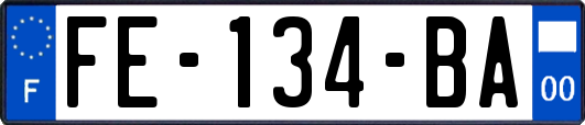 FE-134-BA