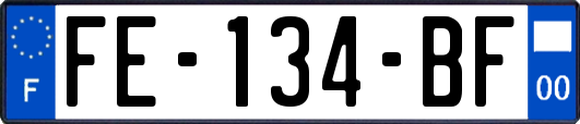 FE-134-BF