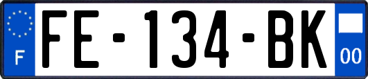 FE-134-BK
