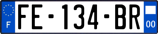 FE-134-BR