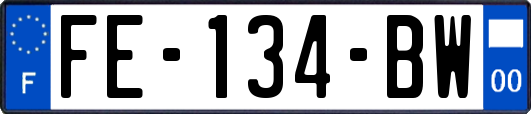 FE-134-BW
