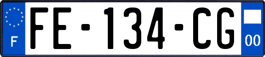 FE-134-CG