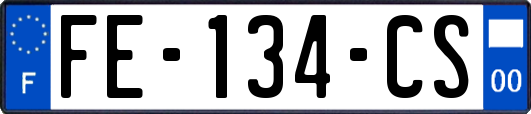 FE-134-CS