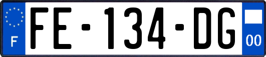 FE-134-DG