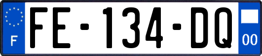 FE-134-DQ