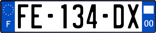 FE-134-DX