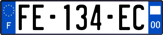 FE-134-EC