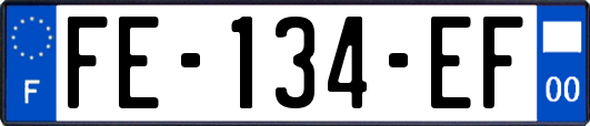 FE-134-EF
