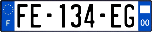 FE-134-EG