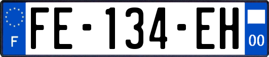FE-134-EH