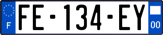 FE-134-EY